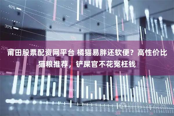 莆田股票配资网平台 橘猫易胖还软便？高性价比猫粮推荐，铲屎官不花冤枉钱